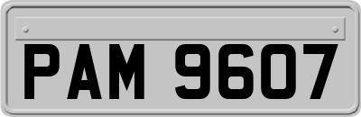 PAM9607