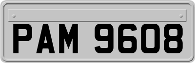 PAM9608