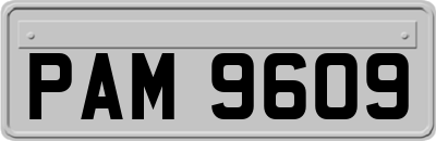 PAM9609