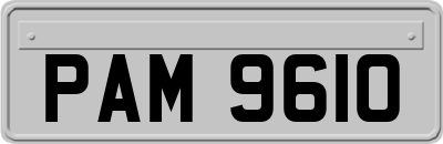 PAM9610