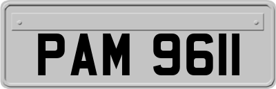 PAM9611