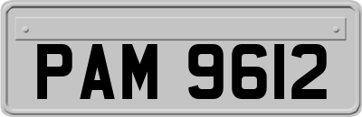 PAM9612