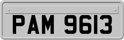 PAM9613