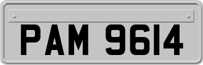 PAM9614