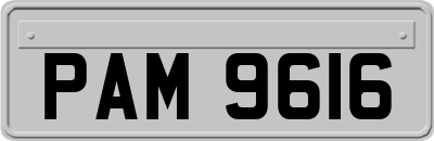 PAM9616