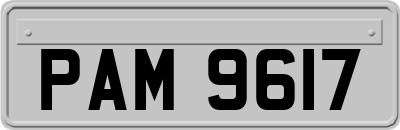 PAM9617