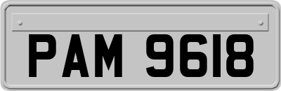 PAM9618