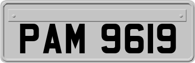 PAM9619