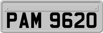 PAM9620