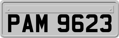 PAM9623