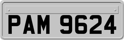 PAM9624