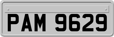 PAM9629