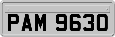 PAM9630