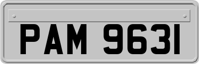 PAM9631