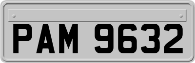 PAM9632
