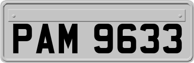 PAM9633