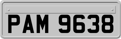 PAM9638