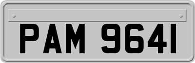 PAM9641