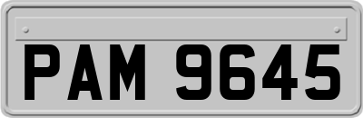 PAM9645