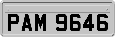 PAM9646