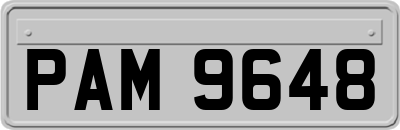 PAM9648