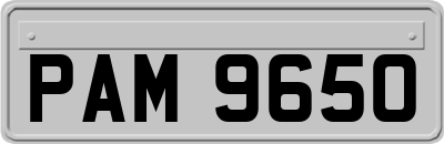 PAM9650