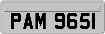 PAM9651