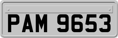 PAM9653