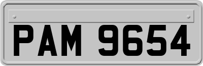 PAM9654