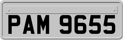 PAM9655