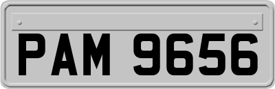 PAM9656