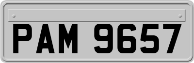PAM9657