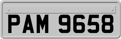 PAM9658