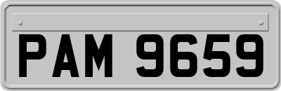 PAM9659