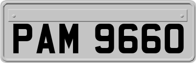 PAM9660