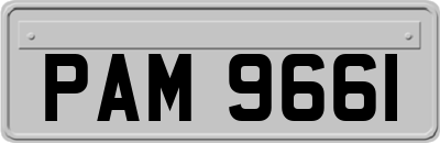 PAM9661