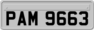 PAM9663