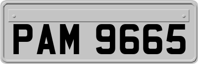 PAM9665