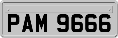 PAM9666