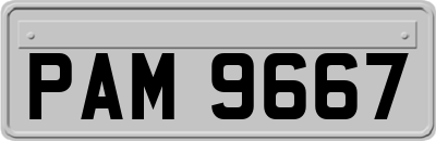 PAM9667