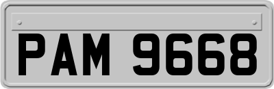 PAM9668