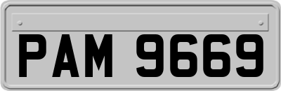 PAM9669