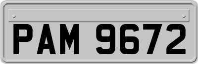 PAM9672