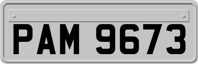 PAM9673