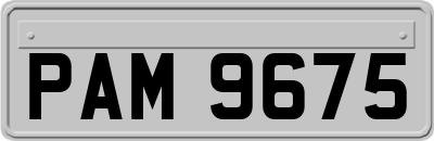 PAM9675