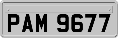 PAM9677