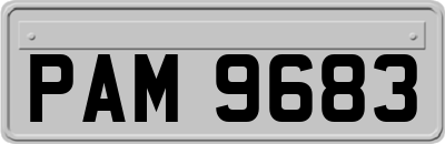 PAM9683