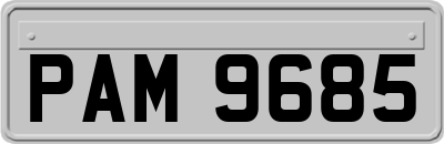 PAM9685