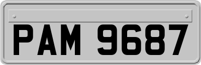 PAM9687