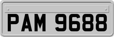 PAM9688